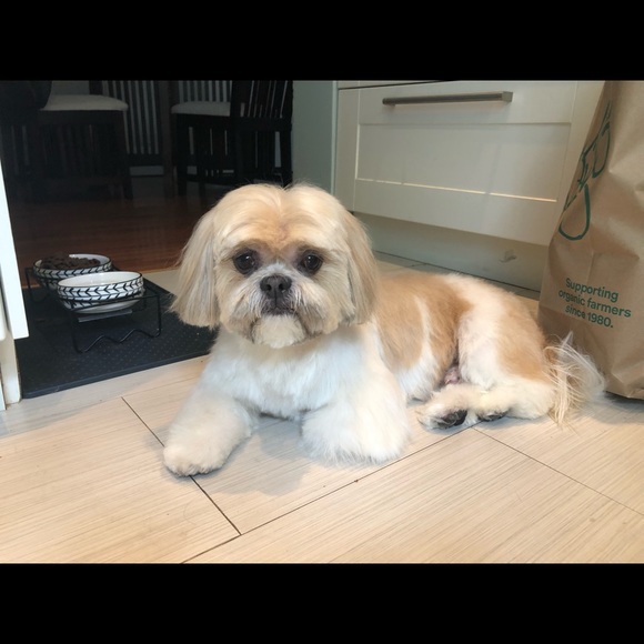 Meet your Posher, Gabriela - Picture 2 of 2